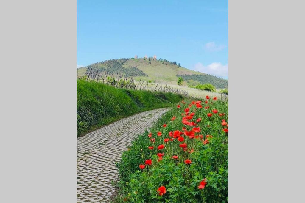 Gite A Eguisheim Proche De Colmar Et Kaysergberg. 외부 사진