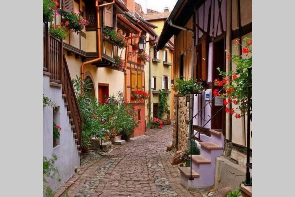 Gite A Eguisheim Proche De Colmar Et Kaysergberg. 외부 사진