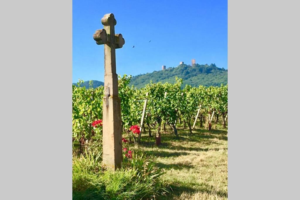 Gite A Eguisheim Proche De Colmar Et Kaysergberg. 외부 사진